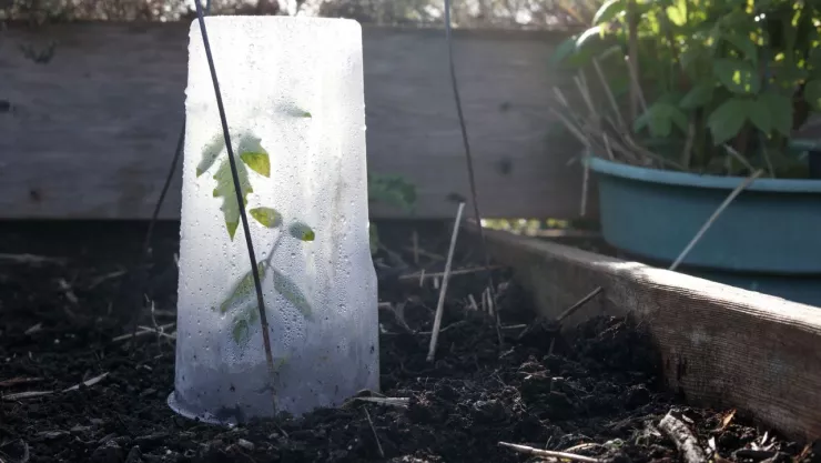 clima_07_noviembre_frente_frio