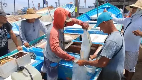 Mazatlán con poca pesca
