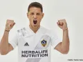 10 Chicharito Hernandez.jpg