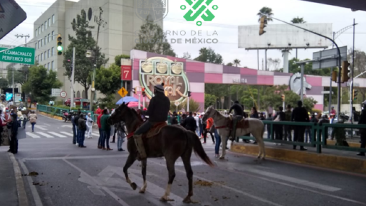caballos 