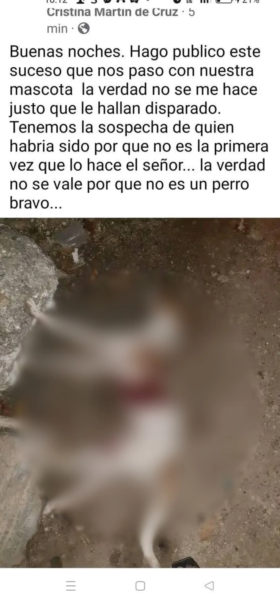 Nuevo caso de CRUELDAD ANIMAL en Panabá; perrito MUERE de un disparo