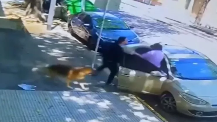 VIDEO Mujer ataca a un adulto mayor que le pide recoger las heces de su perro en Boedo, Argentina