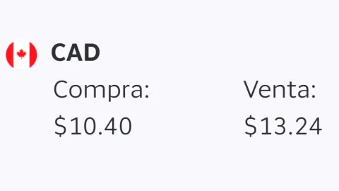 Precio del dólar HOY 8 de septiembre 2026: Tipo de cambio en México en tiempo real