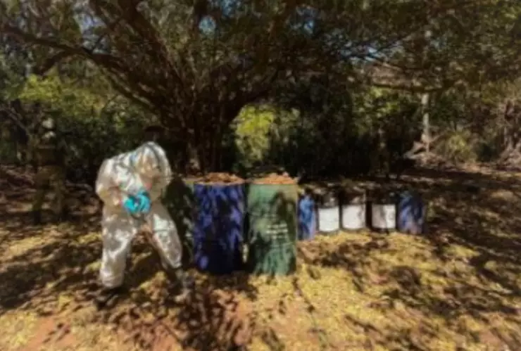 Laboratorios de drogas en Sinaloa
