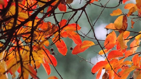 eventos astronómicos