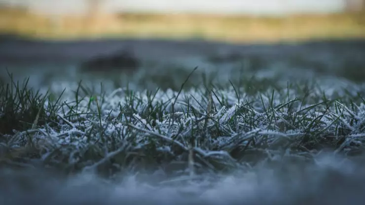 ¡Llega la Navidad! Frente frío 11 dejará caída de nieve en estos estados de México