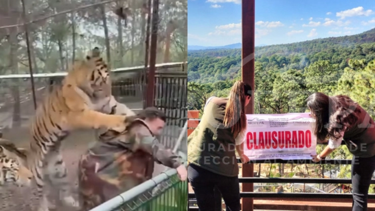 Parque-donde-tigre-atacó-a-veterinaria-debía-estar-clausurado