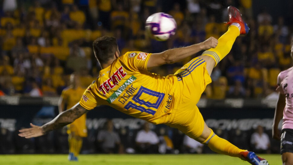 Tigres