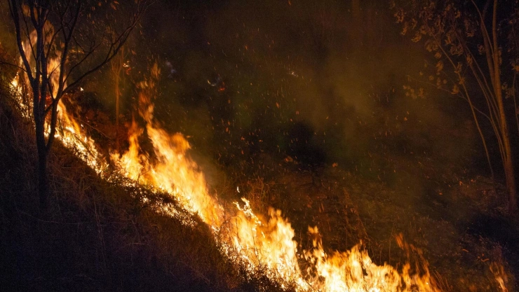 Incendio forestal.jpg