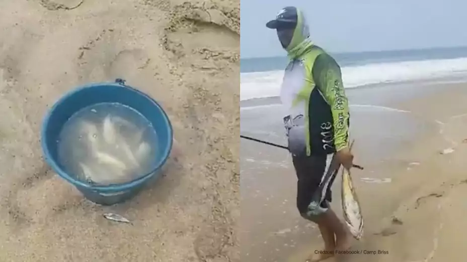 peces acapulco.jpg