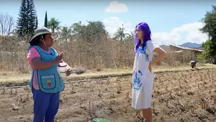 ¿Chingu Amiga lucró con la historia de una familia mexicana?