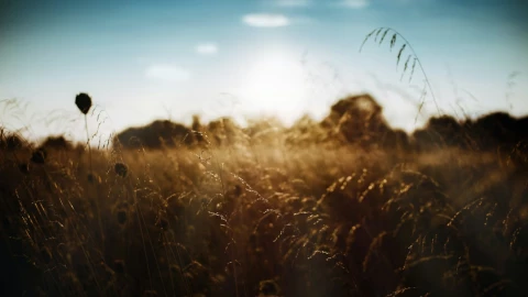 Clima en Michoacán .png