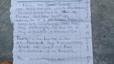 Carta de Canelo, el perrito abandonado