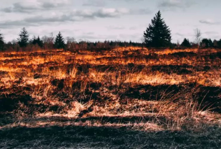 Incendios California