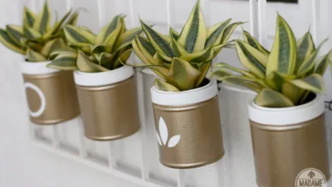 Macetas autorregables para tu jardín o huerto casero
