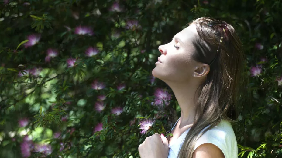 ¿Qué frases representan a las personas fuertes de mente? Esto revela la psicología