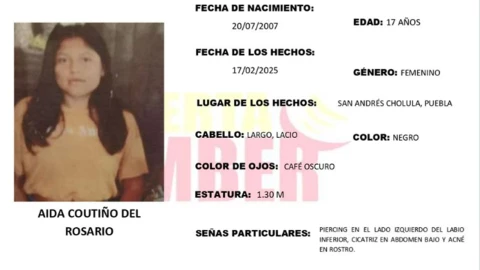 desaparecida puebla aida coutiño