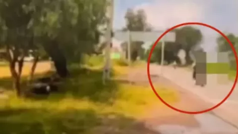 1280 x 720 px (78).jpg