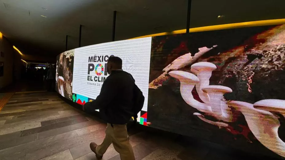 WhatsApp Image 2025-10-09 at 4.4.jpg