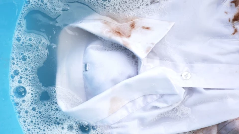 El truco que pocos conocen para quitar las manchas de hongos de la ropa