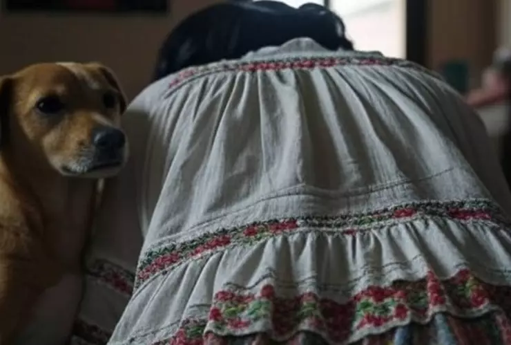 Mujer es hallada comida por un perro en Saltillo.