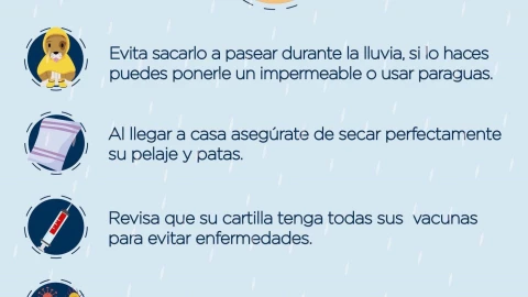 Tormenta Tropical Otis