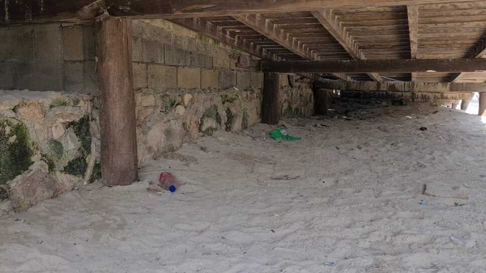 Evita tirar basura en playas de QROO durante temporada decembrina