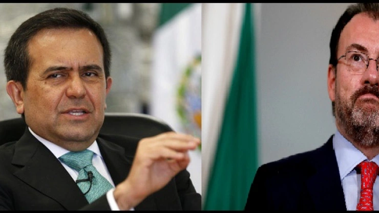 videgaray guajardo