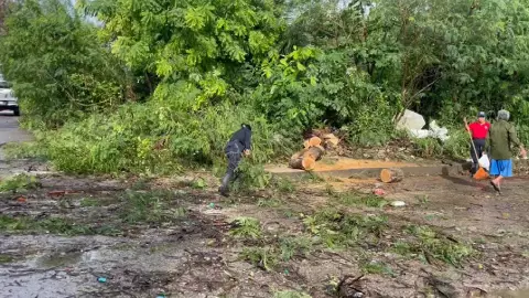 ¿Qué afectaciones dejó ‘Nadine’ en Chetumal_.jpg