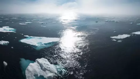 ¿Está cerca el desastre climático? Estas señales indican la llegada