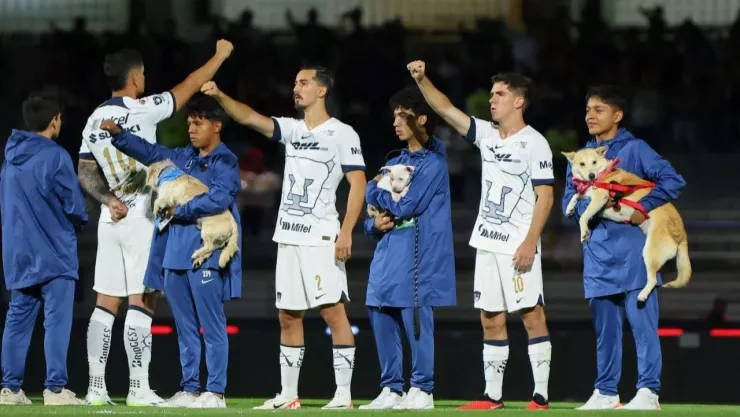 Pumas_adoptar_perro_México_2024