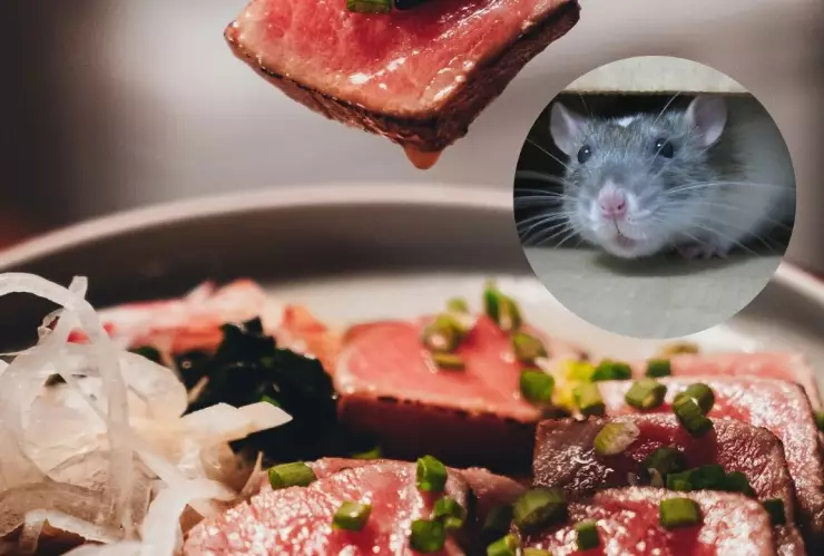 Cierran sucursales de Sukiya en Japón tras rata en sopa miso.