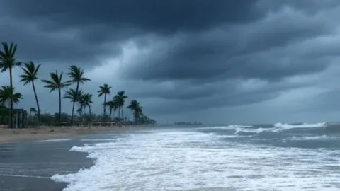 Onda Tropical