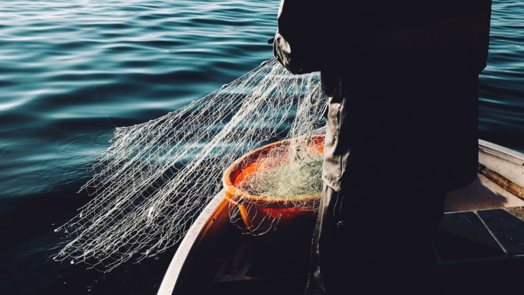 pescador califronia.png
