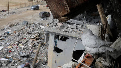 guerra-israel-hamas-28-noviembre-2023