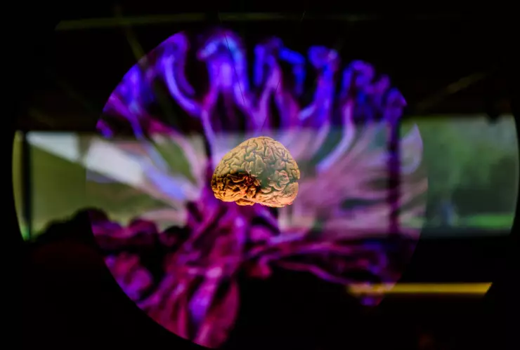 “Brain – wider than the sky” Interactive Exhibition