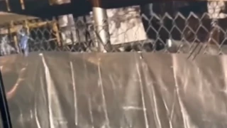 Video: Madre encierra a su hija con discapacidad en jaula