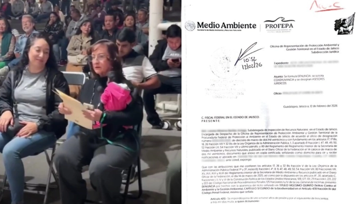 profepa-presenta-denuncia-penal-por-posesion-ilegal-mono-arana-en-ocotlan-jalisco