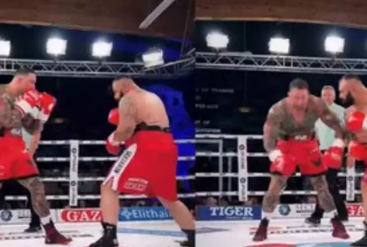 VIDEO ¡Un solo golpe! Boxeador noquea a fisicoculturista en pelea de exhibición