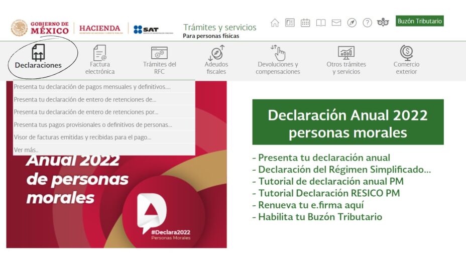 Simulador Sat 2025 Personas FíSicas