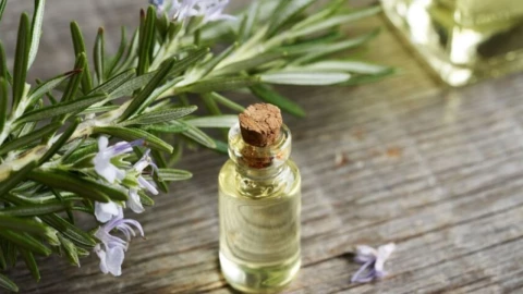 Aceite de romero.jpg