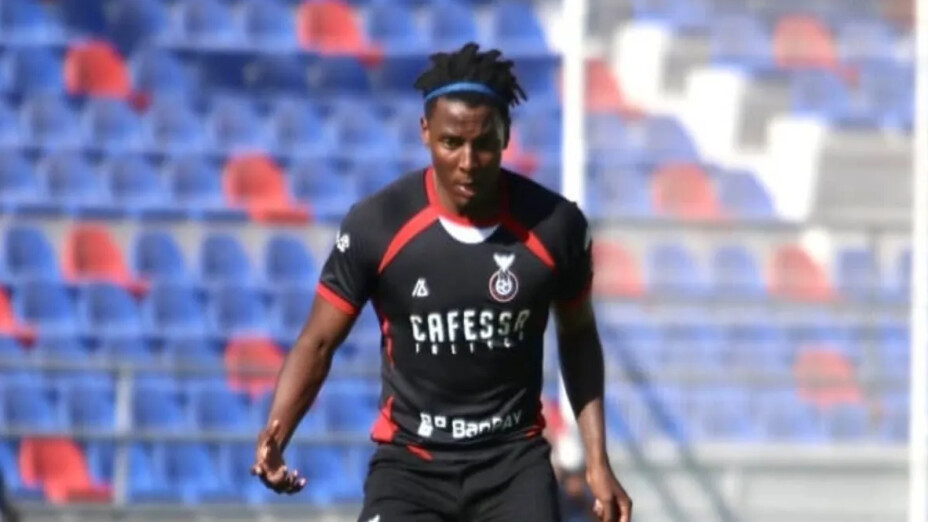 Joao Maleck