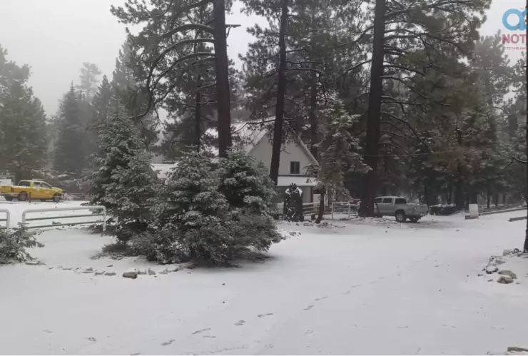 Cae la primera nevada de la temporada