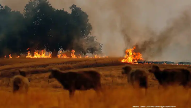 incendios california .jpg