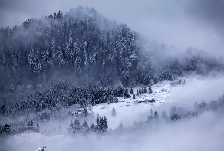 Mujer muere en auto en tormenta de nieve en Buffalo