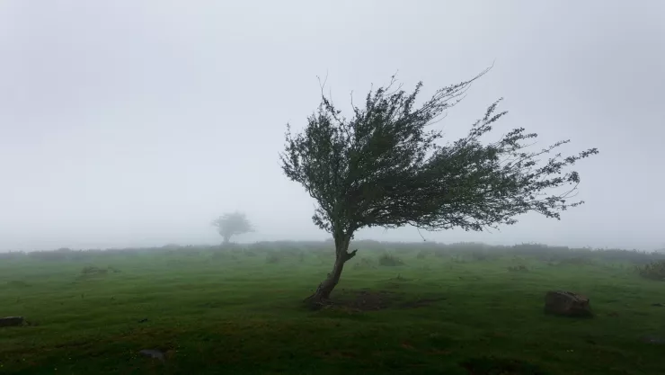 huracán kristy afectará el clima en querétaro 22 y 23 de octubre 2024.jpg