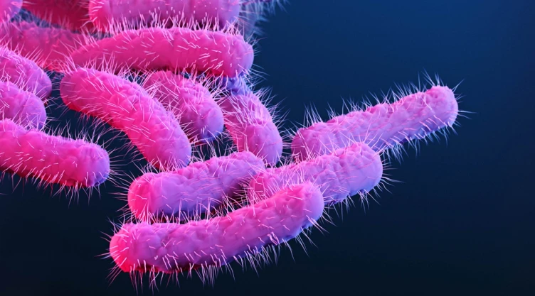 Shigellosis
