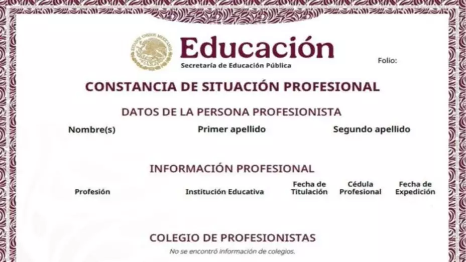 Constancia de Situación Profesional: Se tramita en el portal de la DGP.