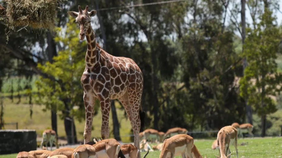 WhatsApp Image 2026-03-30 at 12..jpg