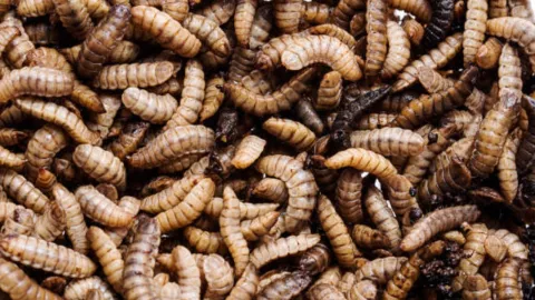 Texto del párrafo.jpg